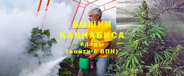 Альфа ПВП Верея