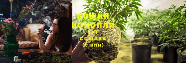 ГАЛЛЮЦИНОГЕННЫЕ ГРИБЫ Бронницы