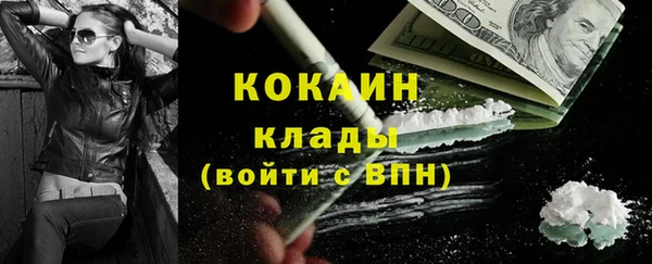 Альфа ПВП Верея