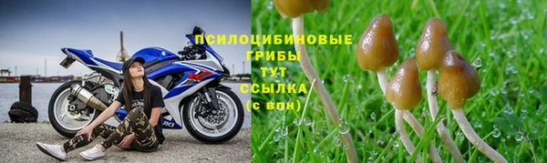 меф VHQ Бородино
