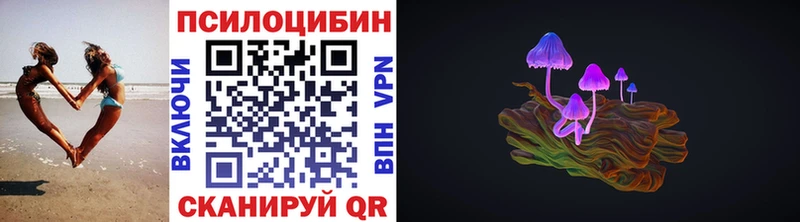 где найти   Лысьва  Псилоцибиновые грибы Psilocybe 